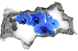 Lyuk 3d fali matrica Kék orchidea
