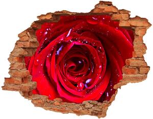 3d fali matrica lyuk a falban Rózsa virág