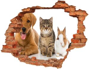3d fali matrica lyuk a falban Kutya és macska