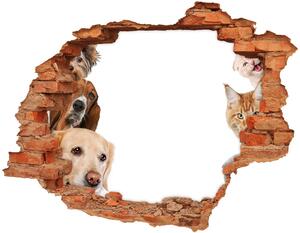 3d fali matrica lyuk a falban Kutyák és macskák