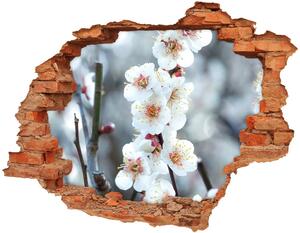 3d fali matrica lyuk a falban Cseresznye virágok
