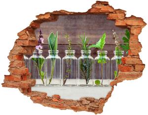 3d fali matrica lyuk a falban Növények tégelyek