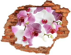 3d fali matrica lyuk a falban Murals orchidea