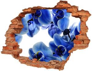 3d fali matrica lyuk a falban Kék orchidea