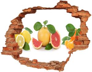 3d fali matrica lyuk a falban Citrusfélék