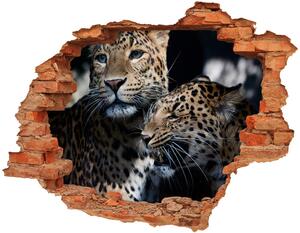 3d fali matrica lyuk a falban Két leopárd