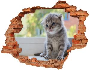 3d fali matrica lyuk a falban Kis macska az ablakban