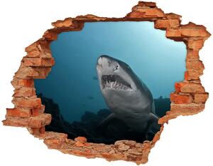 3d fali matrica lyuk a falban Nagy cápa