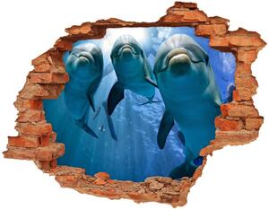 3d fali matrica lyuk a falban Három delfinek