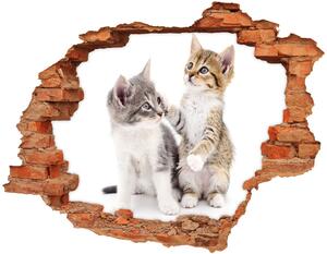 3d fali matrica lyuk a falban Két kis macska