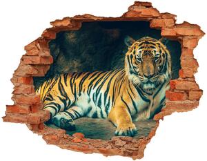 Lyuk 3d fali matrica Tiger cave