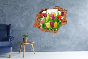 Lyuk 3d fali matrica Színes tulipán
