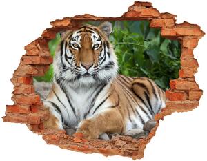 Lyuk 3d fali matrica Szibériai tigris