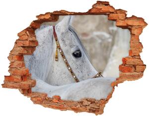 Lyuk 3d fali matrica Fehér arab ló