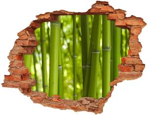 Lyuk 3d fali matrica Bambusz