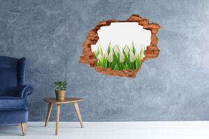 Lyuk 3d fali matrica Fehér tulipán