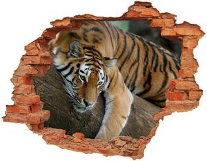 3d-s lyuk vizuális effektusok matrica Tiger a fán