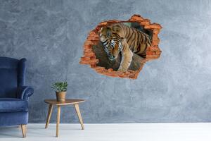3d-s lyuk vizuális effektusok matrica Tiger a fán