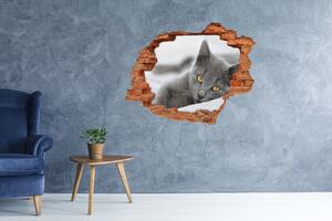 3d-s lyuk vizuális effektusok matrica Szürke macska