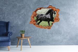 3d-s lyuk vizuális effektusok matrica Fekete ló virágok
