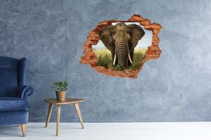 3d-s lyuk vizuális effektusok matrica Elefánt a szavannán