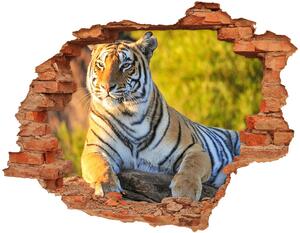 3d-s lyuk vizuális effektusok matrica Portré egy tigris