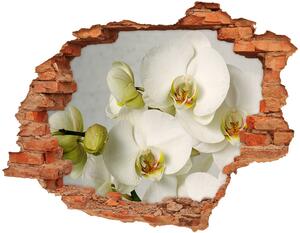 3d-s lyuk vizuális effektusok matrica Fehér orchidea