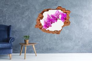 Fali matrica lyuk a falban Rózsaszín orchidea