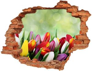 Fali matrica lyuk a falban Színes tulipán