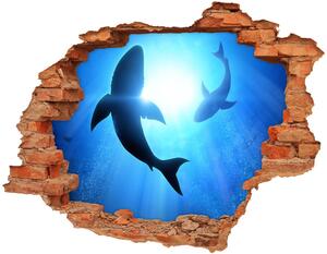 Fali matrica lyuk a falban Két cápa