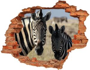 Fali matrica lyuk a falban Két zebrák