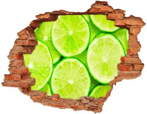Fali matrica lyuk a falban Limes
