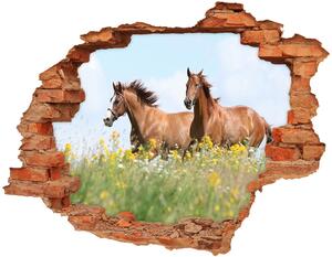 Fali matrica lyuk a falban Két ló vágtában