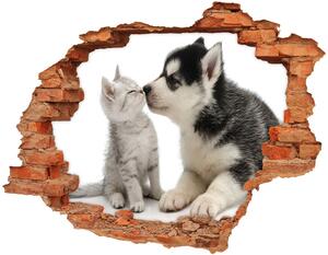 Fali matrica lyuk a falban Kutya és macska