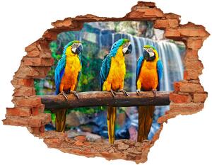 Fali matrica lyuk a falban Papagájok, elágazik