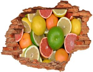 Fali matrica lyuk a falban Citrusfélék