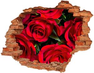 Fali matrica lyuk a falban Vörös rózsák