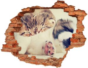 Fali matrica lyuk a falban Két macska és egy kutya