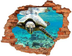 Fali matrica lyuk a falban Tengeri teknős
