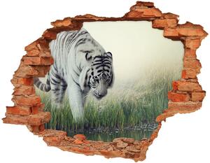 Fali matrica lyuk a falban Fehér tigris