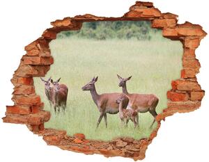Fali matrica lyuk a falban Deer fiatal