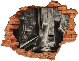 3d-s lyukat fali matrica Macskák az ablakban
