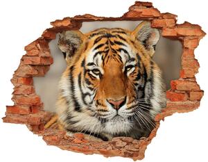 3d-s lyukat fali matrica Bengáli tigris