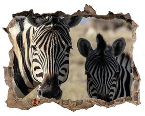 3d-s lyukat fali matrica Két zebrák