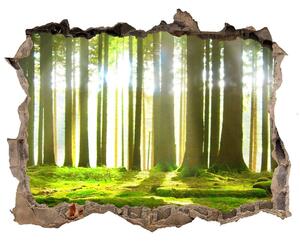 3d-s lyuk vizuális effektusok matrica Forest a nap