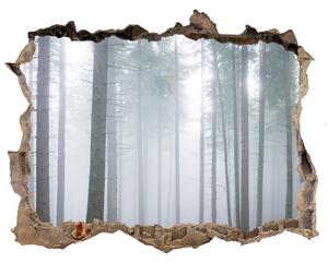 3d-s lyuk vizuális effektusok matrica Köd az erdőben