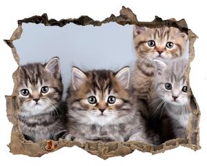 3d-s lyuk vizuális effektusok matrica Öt macskák