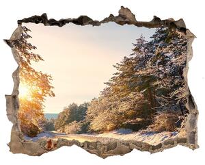 3d-s lyuk vizuális effektusok matrica Az út a téli erdőben