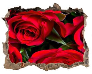 3d-s lyuk vizuális effektusok matrica Vörös rózsák