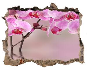 3d-s lyuk vizuális effektusok matrica Rózsaszín orchidea